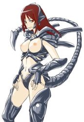  armor artist_request brown_hair character_request nipples red_eyes source_request tail  rating:Explicit score:5 user:Jentennyson
