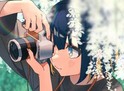  1girl black_shirt blue_eyes blue_hair blush camera closed_mouth commentary_request flower from_above hair_between_eyes holding holding_camera long_sleeves multicolored_eyes nira-chan outdoors shinaq shirt short_hair solo taking_picture upper_body yellow_eyes zutto_mayonaka_de_ii_no_ni 