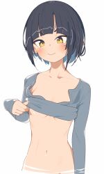 1girl :&gt; absurdres black_hair breasts closed_mouth clothes_lift commentary_request grey_shirt highres lifted_by_self long_sleeves looking_at_viewer navel original rasusurasu shirt shirt_lift short_hair sleeves_past_wrists small_breasts solo underboob yellow_eyes rating:Sensitive score:26 user:danbooru