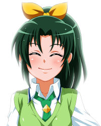  10s green_hair midorikawa_nao name_characters precure smile smile_precure!  rating:Sensitive score:1 user:Angelic_Serenade