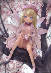  1girl blonde_hair blue_eyes blush breasts capelet cherry_blossoms cleft_of_venus covered_erect_nipples dress fairy fairy_wings hair_between_eyes hat highres in_tree lily_white long_hair looking_at_viewer open_mouth panties petite shoes sitting sitting_in_tree small_breasts solo touhou tree underwear white_capelet white_dress white_footwear white_hat white_panties wings yawdeone 