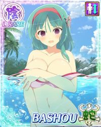 10s bashou_(senran_kagura) bikini breasts card_(medium) large_breasts senran_kagura swimsuit tagme rating:Questionable score:17 user:Anon_Perv