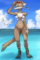  1girl animal_ears bad_id bad_pixiv_id barefoot beach bikini character_request extra_breasts feet female_focus fish full_body furry furry_female goggles kazuhiro mouth_hold ocean outdoors sky soaking_feet solo spread_toes swimsuit tail toes water  rating:Questionable score:16 user:deadsandtime