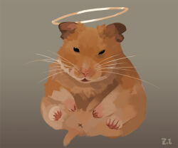  animal_focus commentary_request dated_commentary full_body gradient_background grey_background halo hamster looking_at_viewer no_humans open_mouth original signature whiskers x_anus zi_tsas  rating:General score:1 user:danbooru