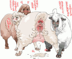  3girls animal animal_pussy anus bestiality blush brown_eyes female_focus furry furry_female gaping hooves interspecies multiple_girls nezunezu presenting pussy sheep text_focus third-party_edit tongue translated wet  rating:Explicit score:145 user:fett123