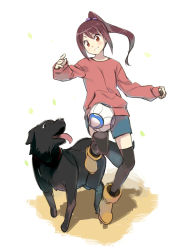  1girl animal ball blue_shorts blush boots breasts brown_eyes brown_footwear brown_hair denchuubou dog dribbling_(basketball) falling_leaves ginga_e_kickoff!! grin jumping leaf long_sleeves ponytail red_eyes scrunchie shorts sidelocks simple_background sleeves_past_wrists small_breasts smile soccer_ball sweater takatou_erika thighhighs tongue tongue_out 