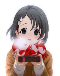  1girl black_hair blush box breath brown_coat coat gift gift_box hair_ornament highres holding holding_box idolmaster idolmaster_cinderella_girls incoming_gift long_sleeves looking_at_viewer megabee_e open_mouth rabbit_hair_ornament sasaki_chie scarf short_hair simple_background solo twitter_username two-tone_scarf upper_body white_background 