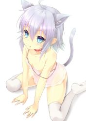  1girl animal_ears blue_eyes breasts cat_ears child choker downblouse grey_hair kinta_(distortion) lingerie negligee original short_hair small_breasts solo strap_slip tagme tail thighhighs underwear  rating:Questionable score:48 user:kamijoumikoto