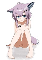  1girl animal_ears anus arknights artist_request barefoot completely_nude feet female_focus flat_chest fox_ears fox_girl fox_tail full_body hair_between_eyes hair_ornament highres kamihine loli long_hair nipples nude pink_hair pussy simple_background sitting solo source_request sussurro_(arknights) tail  rating:Explicit score:85 user:Somewhat_useful_lolicon