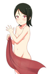 1girl atg_(wttoo0202) black_hair blush breasts collarbone cowboy_shot embarrassed female_focus highres holding loli looking_at_viewer naruto naruto_(series) naruto_gaiden navel nude red_eyes sharingan short_hair simple_background small_breasts solo towel uchiha_sarada white_background rating:Questionable score:113 user:dmysta3000