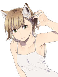  1girl animal_ears blonde_hair breasts camisole cat_ears collarbone green_eyes hand_up looking_at_viewer mattaku_mousuke original parted_lips simple_background small_breasts solo upper_body white_background  rating:Sensitive score:17 user:danbooru