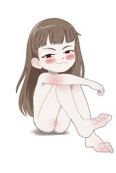  1girl :3 anatomy_of_a_gamer_(meme) barefoot blunt_bangs blush blush_stickers brown_hair censored child_gf_(orenji) closed_mouth completely_nude feet full_body loli long_hair looking_at_viewer mosaic_censoring nude pussy simple_background sitting soles solo toes white_background  rating:Explicit score:47 user:ninoninopico