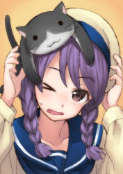  &gt;_o 10s 1girl animal animal_on_head bad_id blush braid brown_eyes cat cat_on_head error_musume girl_beaten_by_a_cat_(kancolle) hair_over_shoulder hat highres kantai_collection long_hair matsuryuu on_head one_eye_closed open_mouth personification purple_hair school_uniform serafuku solo twin_braids wavy_mouth 