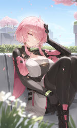  1girl black_gloves black_pantyhose blue_sky blurry breasts cherry_blossoms cleavage closed_mouth cotta_(heleif) day depth_of_field falling_petals flower gloves highres large_breasts looking_at_viewer outdoors pantyhose petals pink_eyes pink_hair short_hair_with_long_locks sitting sky smile solo taoqi_(wuthering_waves) tree wuthering_waves  rating:Sensitive score:14 user:danbooru
