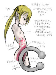  10646 1girl amputee blonde_hair cross-section flat_chest long_hair navel navel_piercing nipple_piercing nipples nude piercing pointy_ears quadruple_amputee simple_background solo translation_request twintails uncensored white_background x-ray 