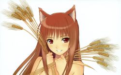  brown_hair highres holo spice_and_wolf tagme tony_taka  rating:Questionable score:28 user:MessyMetty