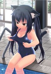  animal_ears cat_ears cat_tail k-on! nakano_azusa pool school_swimsuit swimsuit tail  rating:Questionable score:28 user:hitode