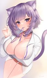 1girl :3 absurdres animal_collar animal_ears bare_legs black_collar blush bottomless breast_hold breasts cat_ears cat_girl cat_tail chan&#039;nu cleavage closed_mouth collar collarbone collared_shirt dress_shirt from_above hand_up head_tilt highres hololive large_breasts long_sleeves looking_at_viewer medium_hair mouth_hold naked_shirt neck_ribbon_removed nekomata_okayu nekomata_okayu_(oversized_shirt) no_bra open_clothes open_shirt purple_eyes purple_hair purple_ribbon ribbon shirt simple_background solo tail thigh_gap tsurime virtual_youtuber white_shirt rating:Questionable score:42 user:danbooru
