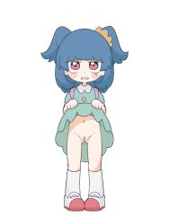 1girl blue_hair cleft_of_venus clothes_lift creatures_(company) dress dress_lift female_focus full_body game_freak hilary_(pokemon) lifting_own_clothes loli looking_at_viewer nintendo notor pink_eyes pokemon pokemon_(anime) poketoon pussy simple_background skirt skirt_lift solo standing rating:Explicit score:64 user:jameskb1