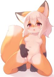  1girl animal_ear_fluff animal_ears arm_behind_back blush breasts cleft_of_venus clitoris female_focus female_masturbation fingering fox_ears fox_girl fox_tail full_body furry furry_female gluteal_fold kneeling legs_apart loli masturbation matsuu_(akiomoi) navel nude open_mouth original pussy red_eyes short_hair simple_background small_breasts solo spread_legs tail thighs white_background white_hair  rating:Explicit score:155 user:danbooru