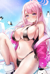  1girl absurdres bare_shoulders bikini bird black_bikini blue_archive blue_sky blush breasts commentary_request day eimi_(blue_archive) eimi_(swimsuit)_(blue_archive) glacier goggles halo highres jacket kuromiz large_breasts long_hair looking_at_viewer navel official_alternate_costume open_clothes open_jacket out-of-season_outfit padded_jacket partial_commentary penguin pink_hair pink_halo pink_jacket ponytail sitting sky solo_focus string_bikini sweat swimsuit winter_out-of-season_outfit 
