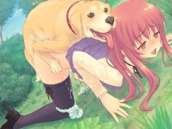 1girl ahegao aikawa_miku all_fours bent_over bestiality black_thighhighs blush bottomless clothes_lift collar cum cum_in_pussy cumdrip daisuke_(one-lover) delta_(delta0127) dog doggystyle dutch_angle fucked_silly game_cg kneeling long_hair okiyumi_kase one-lover open_mouth panties panties_around_leg pink_hair sex sex_from_behind shoes skirt skirt_lift striped_clothes striped_panties thighhighs top-down_bottom-up underwear vaginal rating:Explicit score:378 user:moeiiss