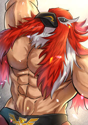  1boy absurdres bird_mask fatal_fury fatal_fury:_city_of_the_wolves griffon_mask highres kageru_(mofnyan) large_pectorals luchador luchador_mask male_focus mask muscular muscular_male pectorals simple_background spandex topless_male white_background wrestler wrestling_mask wrestling_outfit 