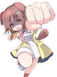  1girl :d absurdres animal_ears blue_footwear bone_hair_ornament braid breasts brown_eyes brown_hair cartoon_bone commentary_request dog_ears dog_girl dog_tail dress fang hair_ornament hair_over_shoulder highres hololive incoming_attack incoming_punch inugami_korone inugami_korone_(1st_costume) jacket long_hair looking_at_viewer low_twintails medium_breasts open_clothes open_jacket open_mouth punching red_socks shaded_face shoes simple_background smile socks solo standing standing_on_one_leg tail twin_braids twintails umberblack virtual_youtuber white_background white_dress yellow_jacket 
