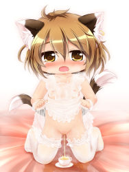 animal_ears blush chen heart highres kurumai loli looking_at_viewer multiple_tails nipples open_mouth pee_stain peeing pussy shiny_skin short_hair sweat tail touhou uncensored rating:Explicit score:16 user:Domestic_Importer