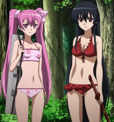  2girls akame_(akame_ga_kill!) akame_ga_kill! bikini black_eyes black_hair breasts cleavage hair_ribbon highres katana long_hair looking_at_viewer mine_(akame_ga_kill!) multiple_girls pink_bikini pink_eyes pink_hair pink_ribbon red_bikini ribbon screencap standing stitched swimsuit sword thighs third-party_edit twintails weapon  rating:Questionable score:21 user:Karmakaze