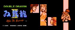  1boy 1girl arc_system_works billy_lee breasts double_dragon double_dragon_ii_(the_revenge) highres marian_kelly nude pixel_art pubic_hair technos  rating:Explicit score:4 user:hnti_addict