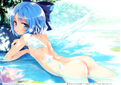 1girl absurdres ass back blue_eyes blue_hair blush bow cirno completely_nude flat_chest flower hair_bow highres ice ice_wings ke-ta light lily_pad loli looking_at_viewer looking_back lying nipples non-web_source nude on_stomach open_mouth partially_submerged short_hair solo touhou translation_request tree_shade water wings rating:Questionable score:119 user:danbooru