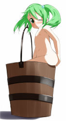  1girl ass bad_id bad_pixiv_id bizen blush bucket covering_privates covering_ass female_focus flat_chest green_eyes green_hair hair_bobbles hair_ornament highres in_bucket in_container kisume loli matching_hair/eyes navel nipples nude nude_cover one_eye_closed short_hair sitting smile solo touhou twintails wink  rating:Questionable score:18 user:danbooru
