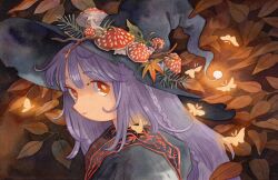 1girl autumn autumn_leaves black_robe braid brown_background bug butterfly closed_mouth fly_agaric glowing glowing_butterfly glowing_hat hat heikala highres hood hood_down insect long_hair looking_at_viewer looking_to_the_side mushroom orange_butterfly orange_eyes original purple_hair robe solo witch witch_hat 