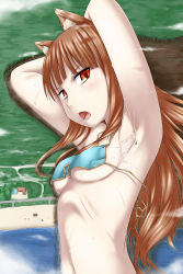 1girl absurdres animal_ears armpits arms_behind_head beach bikini blush breasts brown_hair cloud destruction fang giant giantess highres holo huge_giantess long_hair lying medium_breasts navel open_mouth pool red_eyes shore solo spice_and_wolf swimsuit terada_ochiko underboob water what wolf_ears rating:Sensitive score:52 user:Shostakovich