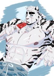  1boy abs animal_ears arknights bara blue_eyes blue_shorts claws commentary consagratum cross_scar english_commentary facial_scar food furry furry_male highres holding holding_food holding_popsicle licking looking_at_viewer male_focus mountain_(arknights) multiple_scars muscular muscular_male pectorals ponytail popsicle scar scar_across_eye scar_on_arm scar_on_cheek scar_on_chest scar_on_face scar_on_stomach shorts tiger_boy tiger_ears tiger_stripes tongue tongue_out topless_male 
