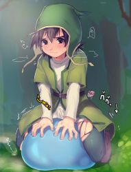 1boy blouse blush bulge dragon_quest dragon_quest_vii erection erection_under_clothes frottage hat hero_(dq7) male_focus mori_miya outdoors shirt shota sitting skin_tight slime solo torn_clothes tunic white_shirt rating:Explicit score:49 user:harucho