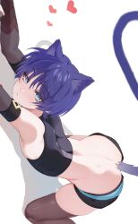  1boy animal_ear_fluff black_shorts blue_eyes bridal_gauntlets brown_thighhighs cat_boy chobonu crop_top elbow_gloves exif_rotation eyelashes foot_out_of_frame genshin_impact gloves hair_between_eyes heart highres looking_at_viewer male_focus mouth_hold purple_hair purple_tail red_ribbon ribbon scaramouche_(genshin_impact) shadow shirt short_hair short_shorts shorts simple_background skin_tight skindentation sleeveless sleeveless_shirt solo thighhighs thighs top-down_bottom-up trap wanderer_(genshin_impact) white_background 