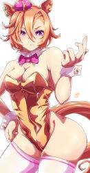  1girl absurdres alternate_costume animal_ears bare_shoulders bow bowtie breasts cleavage closed_mouth commentary_request crown detached_collar ear_ornament gold_leotard hair_between_eyes hand_on_own_hip heart highleg highleg_leotard highres horse_ears horse_girl horse_tail leotard medium_breasts mini_crown nontraditional_playboy_bunny orange_hair pink_bow pink_bowtie purple_eyes short_hair simple_background smile solo strapless strapless_leotard t.m._opera_o_(umamusume) tail takllou thighhighs umamusume white_background white_thighhighs wrist_cuffs 