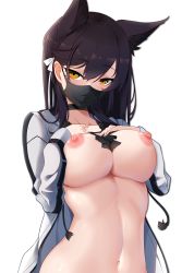  1girl absurdres animal_ears atago_(azur_lane) azur_lane bikini bikini_top_lift black_bikini black_choker black_hair blush breasts breasts_out choker clothes_lift collarbone commentary commission covered_mouth drawstring english_commentary hands_on_own_chest highres jacket large_breasts lifting_own_clothes long_hair long_sleeves looking_at_viewer mask mole mole_under_eye mouth_mask navel nipples open_clothes open_jacket orange_eyes simple_background solo stomach swimsuit upper_body white_background white_jacket z.taiga  rating:Questionable score:113 user:danbooru