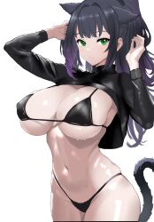 animal_ears arknights bikini black_bikini black_hair black_shrug breasts cat_ears cat_girl cat_tail cleavage cowboy_shot extra_ears gladius_pvp green_eyes hair_intakes hand_in_own_hair hands_up highres jessica_(arknights) jessica_the_liberated_(arknights) large_breasts long_hair looking_at_viewer navel ponytail shrug_(clothing) swimsuit tail white_background rating:Sensitive score:20 user:danbooru