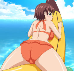  00s 1girl ass bikini breasts brown_hair cameltoe cloud cloudy_sky green_eyes hair_ornament hairclip inflatable_banana looking_at_viewer looking_back lowres ocean oni_chichi sana_kuraka screencap short_hair sky solo swimsuit thighs  rating:Questionable score:53 user:DeskLampo