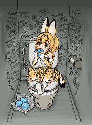  1girl animal_ears blonde_hair bow bowtie commentary_request eating food full_body graffiti industrial_pipe kasuga_(kasuga39) kemono_friends newspaper profanity serval_(kemono_friends) serval_print serval_tail sitting solo tail toilet toilet_stall traditional_bowtie translation_request yellow_eyes  rating:Sensitive score:39 user:danbooru