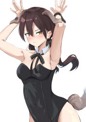  1girl 8sjqzhap4pupzkc absurdres arms_up brown_eyes brown_hair dog_girl dog_tail gertrud_barkhorn highres leotard playboy_bunny ribbon simple_background strike_witches tail white_background world_witches_series wrist_cuffs 