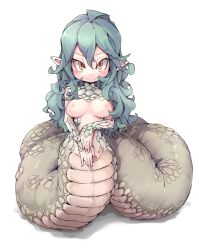 1girl bad_id bad_pixiv_id breasts covering_privates female_focus frfr green_hair lamia long_hair looking_at_viewer monster_girl nipples original pointy_ears scales smile solo rating:Questionable score:36 user:Dweenie