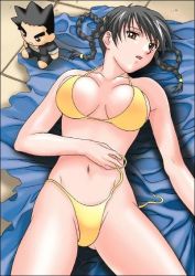  1girl bikini braid breasts brown_eyes brown_hair dead_or_alive lei_fang lying rudoni solo sunbathing swimsuit tecmo twin_braids  rating:Questionable score:30 user:ivang