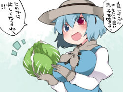 1girl blue_eyes blue_hair breasts cabbage commentary_request gloves hammer_(sunset_beach) hat heterochromia large_breasts looking_at_viewer neckerchief open_mouth puffy_sleeves red_eyes short_hair smile solo tatara_kogasa touhou translation_request upper_body v-shaped_eyebrows rating:Sensitive score:0 user:danbooru