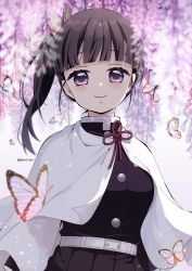  1girl absurdres black_hair blush bug butterfly butterfly_hair_ornament closed_mouth demon_slayer_uniform hair_ornament highres insect jacket japanese_clothes kimetsu_no_yaiba long_sleeves looking_at_viewer pori_(kmt_pori) purple_eyes side_ponytail smile solo tsuyuri_kanao twitter_username  rating:General score:18 user:danbooru