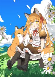  1girl :d animal_ears apron black_footwear black_skirt blue_sky blush boots cloud collared_shirt colored_inner_hair creature_and_personification daisy day falling_petals flower fox fox_ears fox_girl fox_tail frilled_skirt frills grass hair_between_eyes hair_ribbon highres hill kamiyoshi_rika knee_boots long_hair looking_at_viewer maid multicolored_hair one_side_up open_mouth orange_hair original outdoors petals puffy_short_sleeves puffy_sleeves red_ribbon ribbon shirt shoe_soles short_sleeves sidelocks sitting skirt sky smile solo stool streaked_hair tail waist_apron white_apron white_flower white_hair white_shirt yellow_eyes 