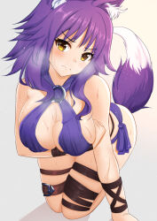  1girl absurdres animal_ear_fluff animal_ears arm_belt arm_strap arm_support arm_up armpits belt bikini blurry blurry_background bracelet breasts cleavage collarbone commentary criss-cross_halter halterneck highleg highleg_bikini highres jewelry large_breasts light_blush long_hair looking_at_viewer makoto_(princess_connect!) makoto_(summer)_(princess_connect!) multi-strapped_bikini navel o-ring o-ring_bikini official_alternate_costume princess_connect! purple_bikini purple_hair shadow sidelocks sitting skindentation smile solo spread_legs stomach swimsuit tail thigh_belt thigh_strap wolf_ears wolf_girl wolf_tail yellow_eyes yumejidake  rating:General score:17 user:zhanshen1337